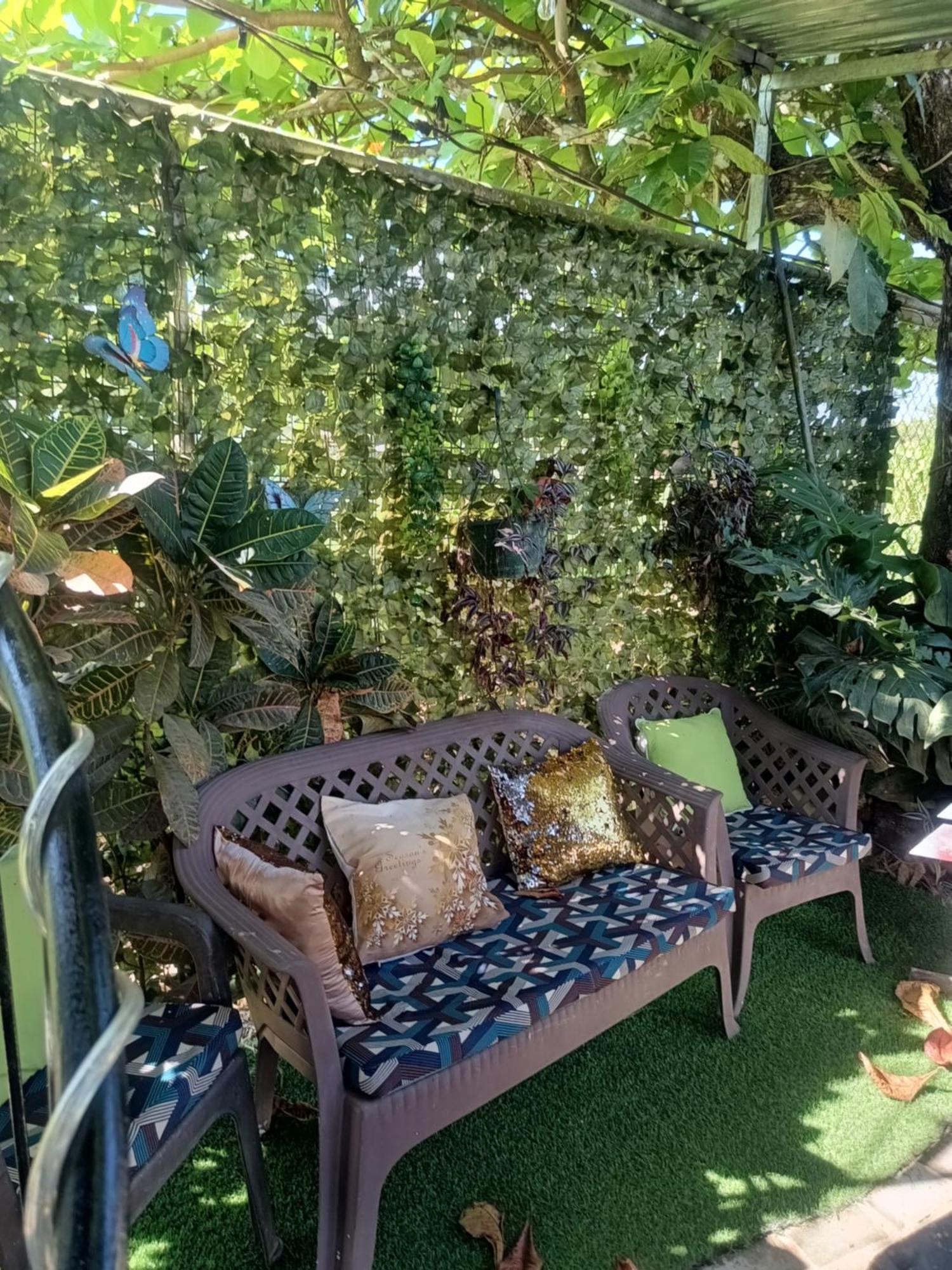 Hospedaje La Galerie Ciudad Cortés Екстериор снимка